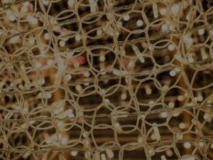 París de noche luces navideñas